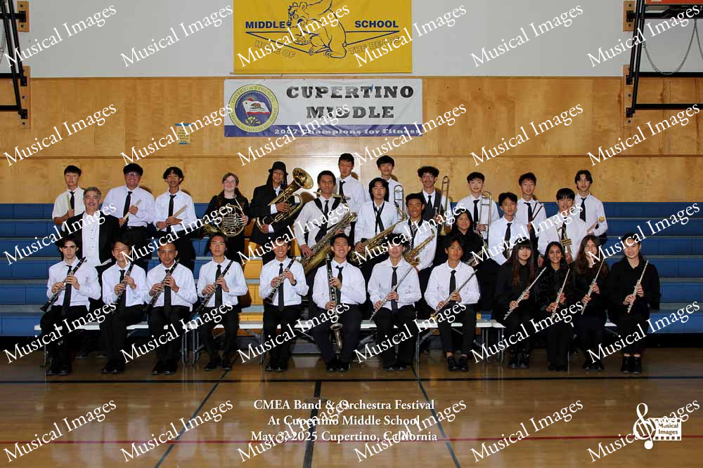 Musical Images